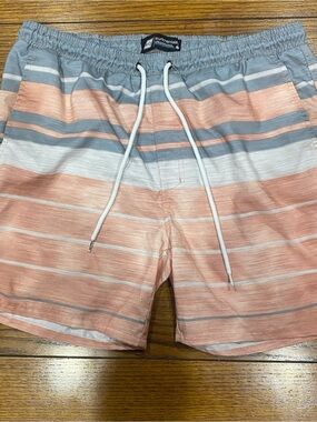 Mens gray  and Pink Striped Swim Shorts